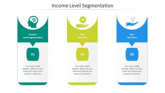 Income level segmentation ppt powerpoint presentation summary icons cpb