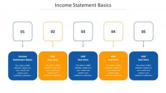 Income Statement Basics Ppt Powerpoint Presentation Outline Templates Cpb