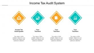 Income tax audit system ppt powerpoint presentation slides portfolio cpb