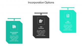 Incorporation Options Ppt Powerpoint Presentation Picture Cpb