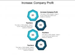 increase_company_profit_ppt_powerpoint_presentation_gallery_slide_cpb_Slide01