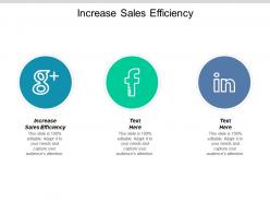 Increase sales efficiency ppt powerpoint presentation ideas slide portrait cpb
