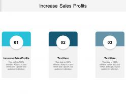 Increase sales profits ppt powerpoint presentation file slide portrait cpb