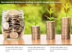 Incremental business scaling growth image with coins