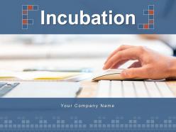 Incubation Business Components Services Incubation Experience Expansion