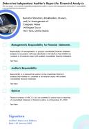 Independent auditors report survey results template 46 report infographic ppt pdf document