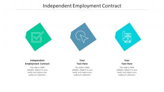 Independent employment contract ppt powerpoint presentation styles graphics pictures cpb