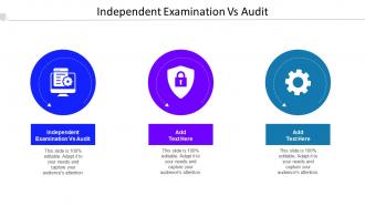 Independent Examination Vs Audit Ppt PowerPoint Presentation Styles Graphic Tips Cpb