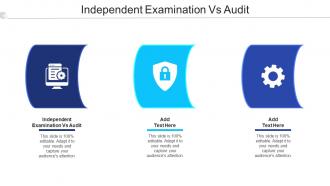 Independent Examination Vs Audit Ppt Powerpoint Presentation Summary Pictures Cpb
