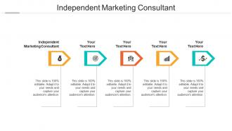 Independent marketing consultant ppt powerpoint presentation summary deck cpb