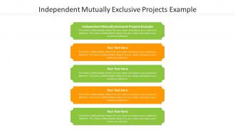 Independent mutually exclusive projects example ppt powerpoint presentation layouts cpb