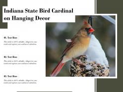 Indiana state bird cardinal on hanging decor