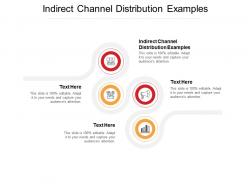 Indirect channel distribution examples ppt powerpoint presentation show files cpb