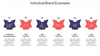 Individual Brand Examples Ppt Powerpoint Presentation Outline Shapes Cpb