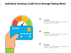 Individual checking credit score through rating meter