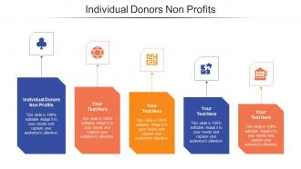 Individual Donors Non Profits Ppt Powerpoint Presentation File Vector Cpb