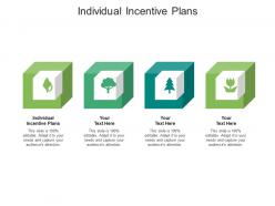 Individual incentive plans ppt powerpoint presentation styles influencers cpb