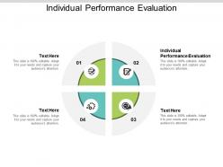 Individual performance evaluation ppt powerpoint presentation file format ideas cpb
