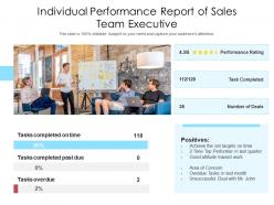Individual Performance Report Of Sales Team Executive