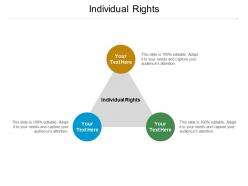 Individual rights ppt powerpoint presentation show model cpb