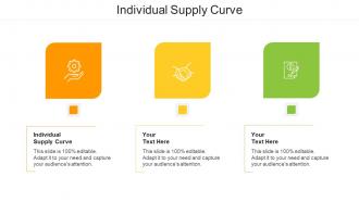 Individual supply curve ppt powerpoint presentation ideas slide cpb