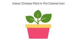 Indoor Chinese Plant In Pot Colored Icon In Powerpoint Pptx Png And Editable Eps Format