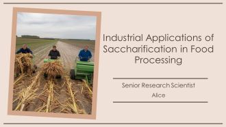 Industrial Applications Of Saccharification In Food Processing PPT Structure AT