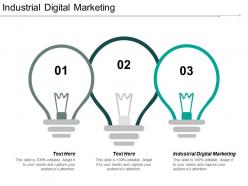 Industrial digital marketing ppt powerpoint presentation portfolio themes cpb