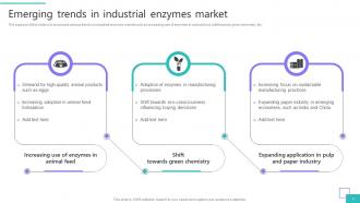 Industrial Enzymes Market Powerpoint Ppt Template Bundles Appealing Pre-designed