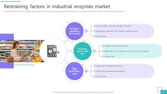 Industrial Enzymes Market Powerpoint Ppt Template Bundles Informative Pre-designed