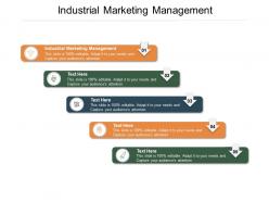 Industrial marketing management ppt powerpoint presentation layouts deck cpb