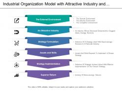 Industrial organization model with attractive industry and strategy formulation