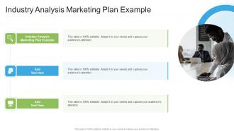 Industry Analysis Marketing Plan Example In Powerpoint And Google Slides Cpb