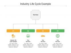 Industry life cycle example ppt powerpoint presentation portfolio files cpb