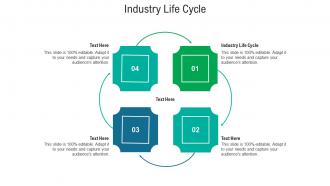 Industry life cycle ppt powerpoint presentation icon smartart cpb