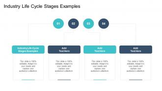 Industry Life Cycle Stages Examples In Powerpoint And Google Slides Cpb
