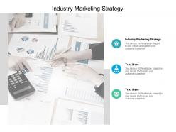 Industry marketing strategy ppt powerpoint presentation layouts images cpb