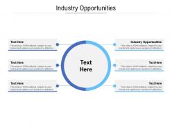 Industry opportunities ppt powerpoint presentation file show cpb