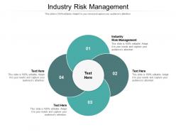 Industry risk management ppt powerpoint presentation file graphics example cpb