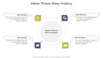 Inferior Phrenic Artery Anatomy In Powerpoint And Google Slides Cpb