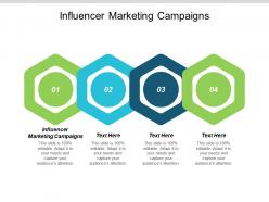 Influencer marketing campaigns ppt powerpoint presentation portfolio picture cpb