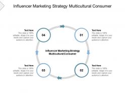 Influencer marketing strategy multicultural consumer ppt powerpoint presentation cpb