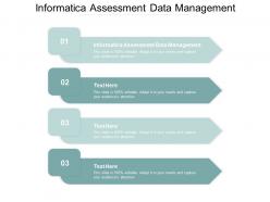 Informatica assessment data management ppt powerpoint presentation show mockup cpb