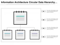 Information architecture circular data hierarchy icon