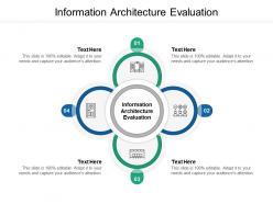 Information architecture evaluation ppt powerpoint presentation infographics shapes cpb
