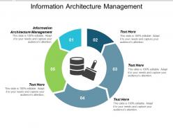 Information architecture management ppt powerpoint presentation summary graphics cpb