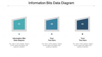Information bits data diagram ppt powerpoint presentation summary visual aids cpb