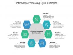 Information processing cycle examples ppt powerpoint presentation icon design templates cpb