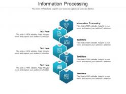 Information processing ppt powerpoint presentation professional graphic tips cpb