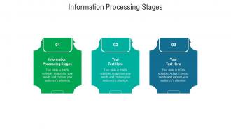 Information processing stages ppt powerpoint presentation file gridlines cpb